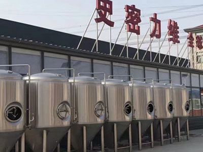 新兴精酿啤酒设备厂—如何判断精酿啤酒设备的密封件需要更换？